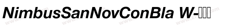 NimbusSanNovConBla W字体转换 NimbusSanNovConBla W字体转换